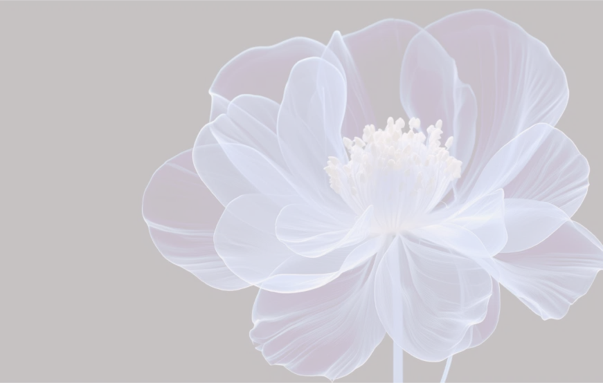 Image illustrant artistiquement une fleur translucide en bleu et violet | Imagerie Cardinet | Région Parisienne