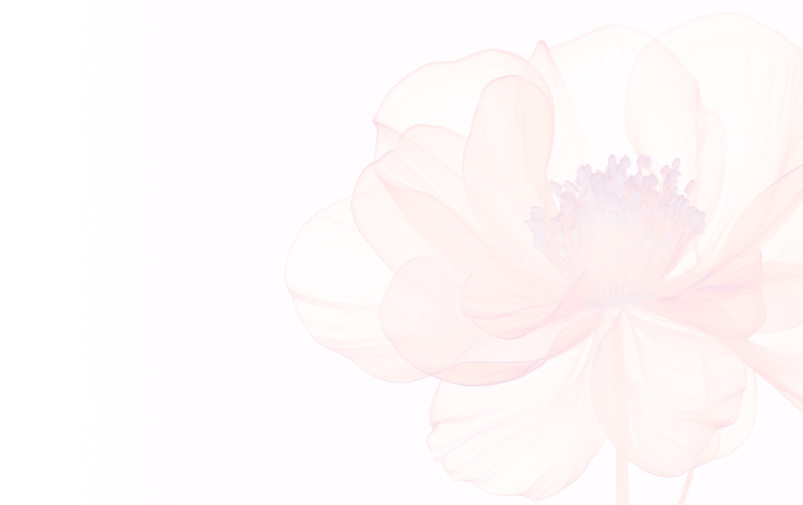 Image d'une fleure a peine visible | Imagerie Cardinet | Région Parisienne